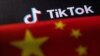 法国议员敦促对TikTok发出最后通牒