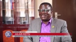 Utafiti: Hali ya hewa yaathiri theluji katika Milima Kilimanjaro