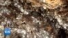 16x9 Image