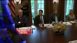 El Mundo al Día