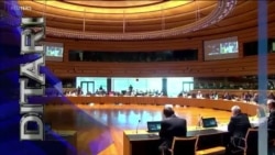 Ditari - DASH publikon raportin vjetor mbi trafikun e qenieve njerëzore 