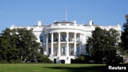 Como jefe de la división internacional del Consejo Económico Nacional de la Casa Blanca, Storch informará al asesor económico principal del presidente Donald Trump, Larry Kudlow, jefe del NEC.
