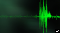 Según el Servicio Geológico de EE.UU., el sismo tuvo una magnitud de 5,8 con epicentro en una localidad del estado de Oaxaca.